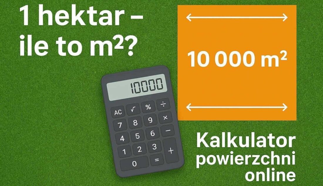 1 hektar – ile to m2? Kalkulator powierzchni online