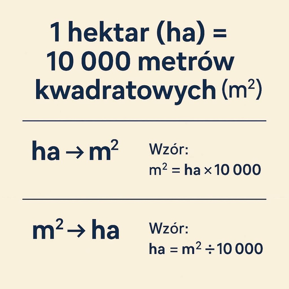 1 hektar ile to m2 - podstawowe wzory i przelicznik 1 hektar ile to m2 - podstawowe wzory