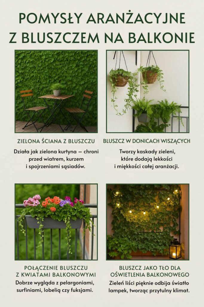 Jak wkomponować bluszcz w aranżację balkonu? Pomysły