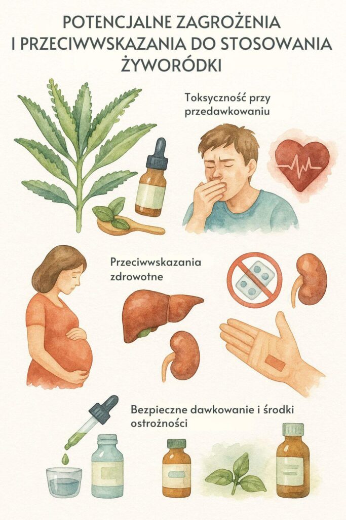 Żyworódka daigremonta - potencjalne zagrożenia i przeciwwskazania 