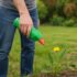 Domestos na chwasty – działanie, skuteczność, konsekwencje