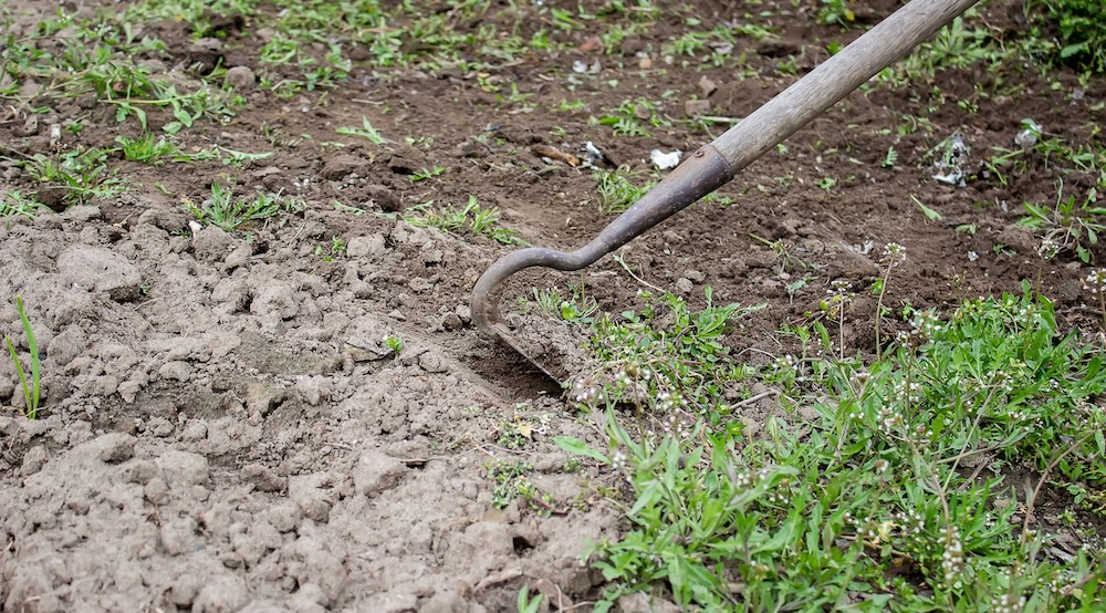 usuwanie darni motyką 