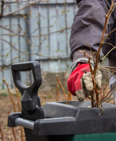 Jaki rozdrabniacz do gałęzi wybrać? Poradnik