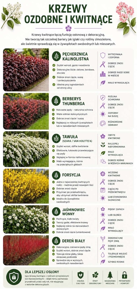 krzewy z kwiatami zamiast tui 